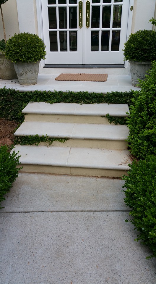 Concrete Steps on a Dunwoody GA Home - After Pressure Washing.