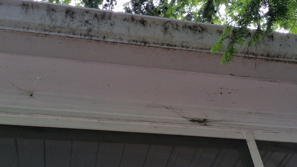 Siding on a Sandy Springs GA Home - After Pressure Washing
