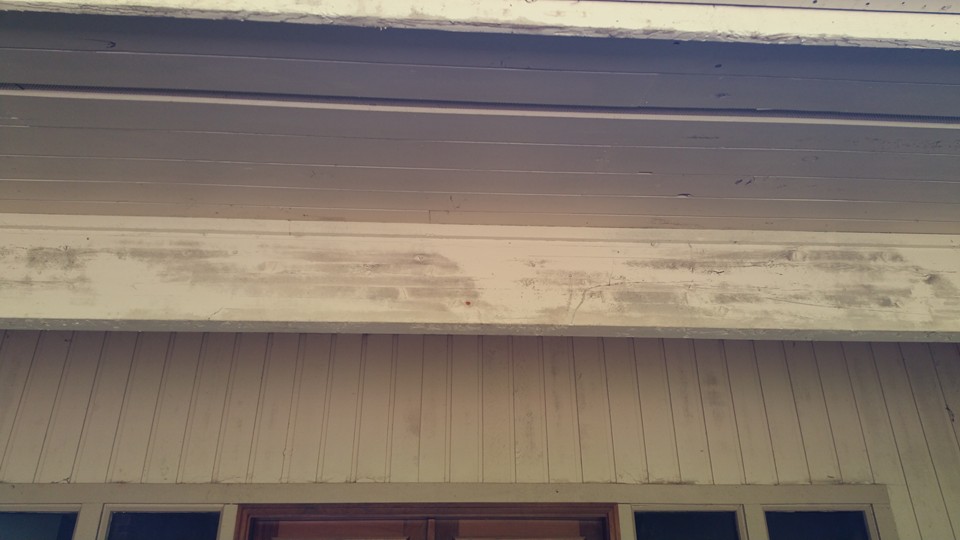 Siding on a Roswell GA Home - Before Pressure Washing.