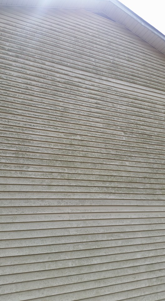 Siding on a Smyrna GA Home - Before Pressure Washing 2